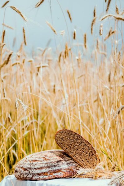 Weißbacher Brot Bild von Bettina Stöckl