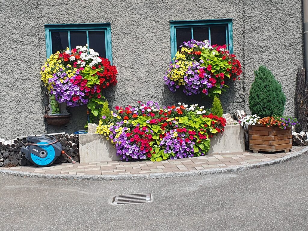 Blumenschmuck 2025 Foto Anita Kogler