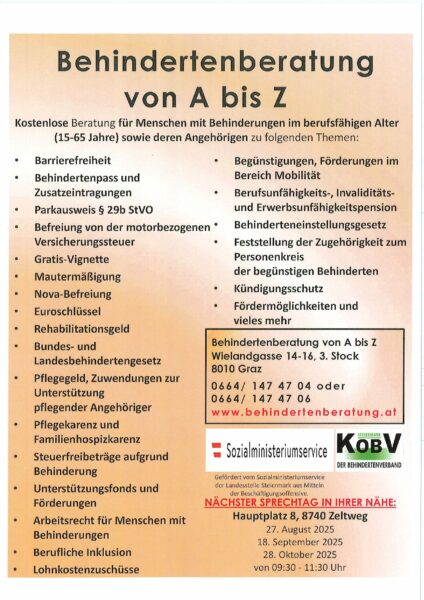 20250819111216403_Behindertenberatung